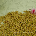 high protein Soybean soy beans